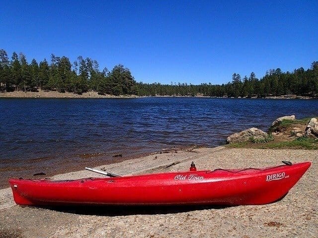 Homes for sale in Forest Lakes AZ