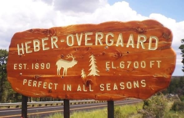 Homes for sale in Heber-Overgaard AZ