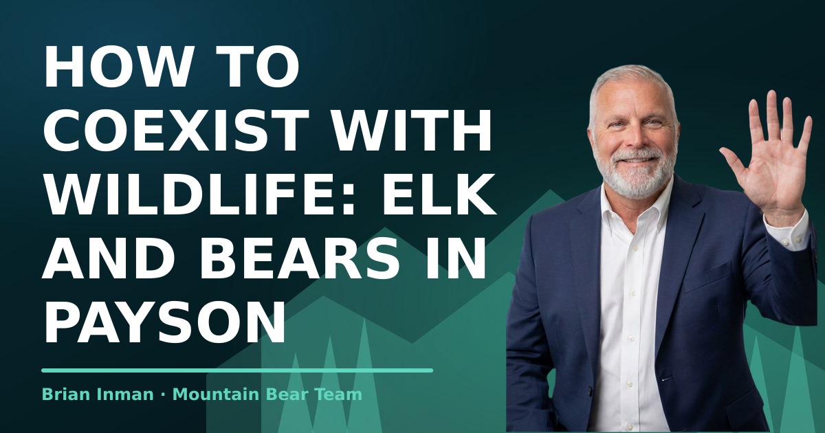 How to Coexist with Wildlife: Elk and Bears in Payson