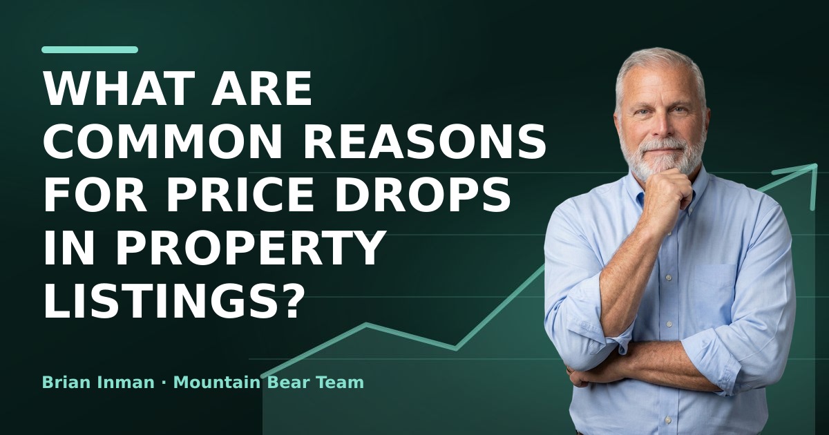 What are common reasons for price drops in property listings?